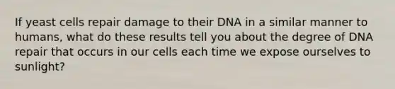 If yeast cells repair damage to their DNA in a similar manner to humans, what do these results tell you about the degree of DNA repair that occurs in our cells each time we expose ourselves to sunlight?