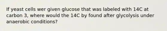 If yeast cells wer given glucose that was labeled with 14C at carbon 3, where would the 14C by found after glycolysis under anaerobic conditions?