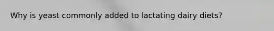 Why is yeast commonly added to lactating dairy diets?