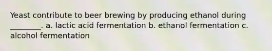 Yeast contribute to beer brewing by producing ethanol during ________. a. lactic acid fermentation b. ethanol fermentation c. alcohol fermentation