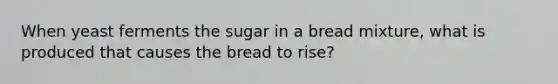 When yeast ferments the sugar in a bread mixture, what is produced that causes the bread to rise?