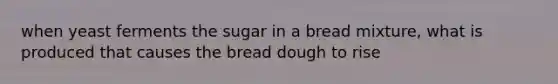 when yeast ferments the sugar in a bread mixture, what is produced that causes the bread dough to rise