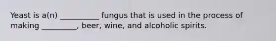 Yeast is a(n) __________ fungus that is used in the process of making _________, beer, wine, and alcoholic spirits.