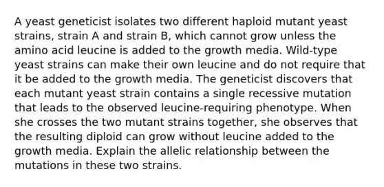 A yeast geneticist isolates two different haploid mutant yeast strains, strain A and strain B, which cannot grow unless the amino acid leucine is added to the growth media. Wild-type yeast strains can make their own leucine and do not require that it be added to the growth media. The geneticist discovers that each mutant yeast strain contains a single recessive mutation that leads to the observed leucine-requiring phenotype. When she crosses the two mutant strains together, she observes that the resulting diploid can grow without leucine added to the growth media. Explain the allelic relationship between the mutations in these two strains.