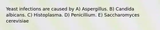 Yeast infections are caused by A) Aspergillus. B) Candida albicans. C) Histoplasma. D) Penicillium. E) Saccharomyces cerevisiae