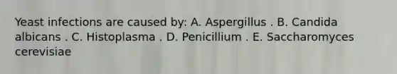 Yeast infections are caused by: A. Aspergillus . B. Candida albicans . C. Histoplasma . D. Penicillium . E. Saccharomyces cerevisiae