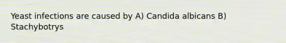 Yeast infections are caused by A) Candida albicans B) Stachybotrys