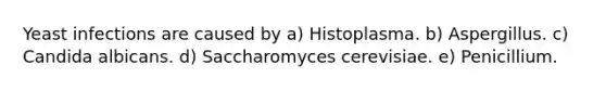 Yeast infections are caused by a) Histoplasma. b) Aspergillus. c) Candida albicans. d) Saccharomyces cerevisiae. e) Penicillium.