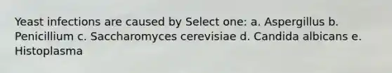 Yeast infections are caused by Select one: a. Aspergillus b. Penicillium c. Saccharomyces cerevisiae d. Candida albicans e. Histoplasma