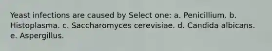 Yeast infections are caused by Select one: a. Penicillium. b. Histoplasma. c. Saccharomyces cerevisiae. d. Candida albicans. e. Aspergillus.