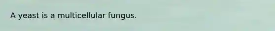 A yeast is a multicellular fungus.