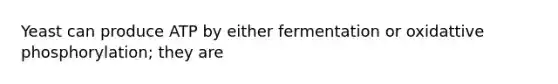 Yeast can produce ATP by either fermentation or oxidattive phosphorylation; they are