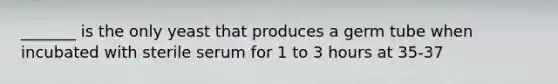 _______ is the only yeast that produces a germ tube when incubated with sterile serum for 1 to 3 hours at 35-37