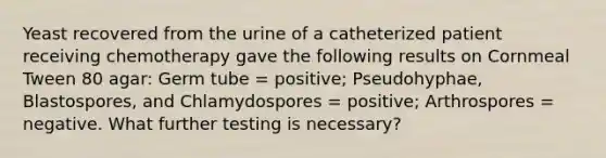 Yeast recovered from the urine of a catheterized patient receiving chemotherapy gave the following results on Cornmeal Tween 80 agar: Germ tube = positive; Pseudohyphae, Blastospores, and Chlamydospores = positive; Arthrospores = negative. What further testing is necessary?