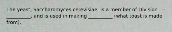 The yeast, Saccharomyces cerevisiae, is a member of Division __________, and is used in making __________ (what toast is made from).