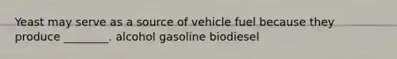 Yeast may serve as a source of vehicle fuel because they produce ________. alcohol gasoline biodiesel