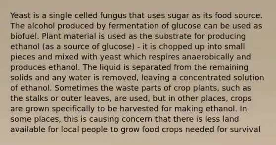 Yeast is a single celled fungus that uses sugar as its food source. The alcohol produced by fermentation of glucose can be used as biofuel. Plant material is used as the substrate for producing ethanol (as a source of glucose) - it is chopped up into small pieces and mixed with yeast which respires anaerobically and produces ethanol. The liquid is separated from the remaining solids and any water is removed, leaving a concentrated solution of ethanol. Sometimes the waste parts of crop plants, such as the stalks or outer leaves, are used, but in other places, crops are grown specifically to be harvested for making ethanol. In some places, this is causing concern that there is less land available for local people to grow food crops needed for survival