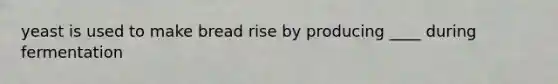 yeast is used to make bread rise by producing ____ during fermentation