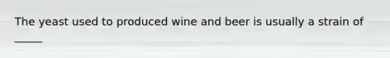 The yeast used to produced wine and beer is usually a strain of _____