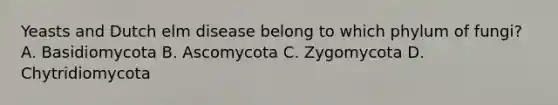 Yeasts and Dutch elm disease belong to which phylum of fungi? A. Basidiomycota B. Ascomycota C. Zygomycota D. Chytridiomycota