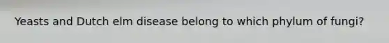 Yeasts and Dutch elm disease belong to which phylum of fungi?