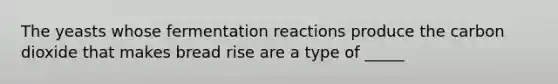 The yeasts whose fermentation reactions produce the carbon dioxide that makes bread rise are a type of _____