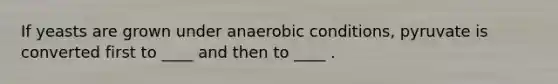 If yeasts are grown under anaerobic conditions, pyruvate is converted first to ____ and then to ____ .