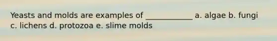 Yeasts and molds are examples of ____________ a. algae b. fungi c. lichens d. protozoa e. slime molds