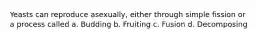 Yeasts can reproduce asexually, either through simple fission or a process called a. Budding b. Fruiting c. Fusion d. Decomposing