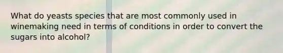 What do yeasts species that are most commonly used in winemaking need in terms of conditions in order to convert the sugars into alcohol?