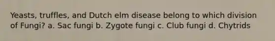 Yeasts, truffles, and Dutch elm disease belong to which division of Fungi? a. Sac fungi b. Zygote fungi c. Club fungi d. Chytrids