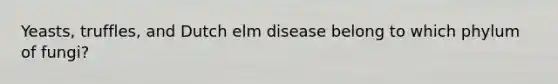 Yeasts, truffles, and Dutch elm disease belong to which phylum of fungi?