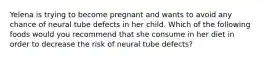 Yelena is trying to become pregnant and wants to avoid any chance of neural tube defects in her child. Which of the following foods would you recommend that she consume in her diet in order to decrease the risk of neural tube defects?