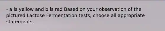 - a is yellow and b is red Based on your observation of the pictured Lactose Fermentation tests, choose all appropriate statements.