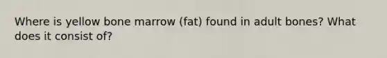 Where is yellow bone marrow (fat) found in adult bones? What does it consist of?