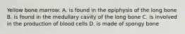 Yellow bone marrow: A. is found in the epiphysis of the long bone B. is found in the medullary cavity of the long bone C. is involved in the production of blood cells D. is made of spongy bone