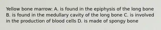 Yellow bone marrow: A. is found in the epiphysis of the long bone B. is found in the medullary cavity of the long bone C. is involved in the production of blood cells D. is made of spongy bone