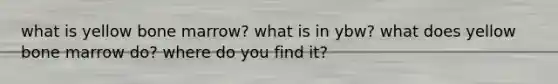 what is yellow bone marrow? what is in ybw? what does yellow bone marrow do? where do you find it?