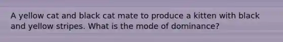 A yellow cat and black cat mate to produce a kitten with black and yellow stripes. What is the mode of dominance?
