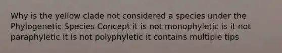 Why is the yellow clade not considered a species under the Phylogenetic Species Concept it is not monophyletic is it not paraphyletic it is not polyphyletic it contains multiple tips