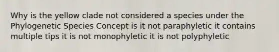 Why is the yellow clade not considered a species under the Phylogenetic Species Concept is it not paraphyletic it contains multiple tips it is not monophyletic it is not polyphyletic