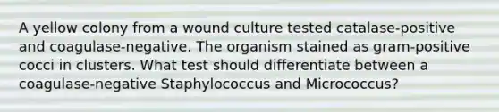 A yellow colony from a wound culture tested catalase-positive and coagulase-negative. The organism stained as gram-positive cocci in clusters. What test should differentiate between a coagulase-negative Staphylococcus and Micrococcus?