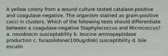 A yellow colony from a wound culture tested catalase-positive and coagulase-negative. The organism stained as gram-positive cocci in clusters. Which of the following tests should differentiate between a coagulase-negative Staphylococcus and Micrococcus? a. novobiocin susceptability b. leucine aminopeptidase production c. furazolidone(100ug/disk) susceptibility d. bile esculin