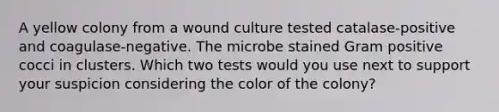 A yellow colony from a wound culture tested catalase-positive and coagulase-negative. The microbe stained Gram positive cocci in clusters. Which two tests would you use next to support your suspicion considering the color of the colony?