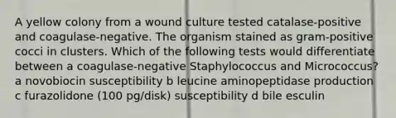 A yellow colony from a wound culture tested catalase-positive and coagulase-negative. The organism stained as gram-positive cocci in clusters. Which of the following tests would differentiate between a coagulase-negative Staphylococcus and Micrococcus? a novobiocin susceptibility b leucine aminopeptidase production c furazolidone (100 pg/disk) susceptibility d bile esculin