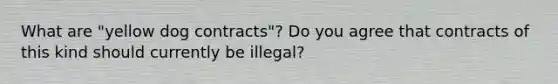 What are "yellow dog contracts"? Do you agree that contracts of this kind should currently be illegal?