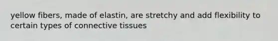 yellow fibers, made of elastin, are stretchy and add flexibility to certain types of connective tissues