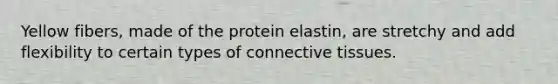 Yellow fibers, made of the protein elastin, are stretchy and add flexibility to certain types of connective tissues.