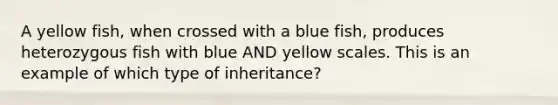 A yellow fish, when crossed with a blue fish, produces heterozygous fish with blue AND yellow scales. This is an example of which type of inheritance?