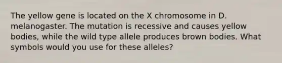 The yellow gene is located on the X chromosome in D. melanogaster. The mutation is recessive and causes yellow bodies, while the wild type allele produces brown bodies. What symbols would you use for these alleles?